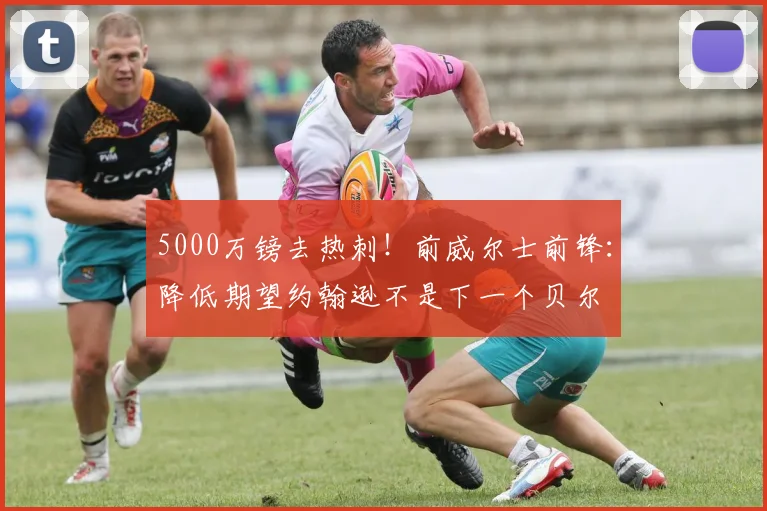 5000万镑去热刺！前威尔士前锋：降低期望约翰逊不是下一个贝尔