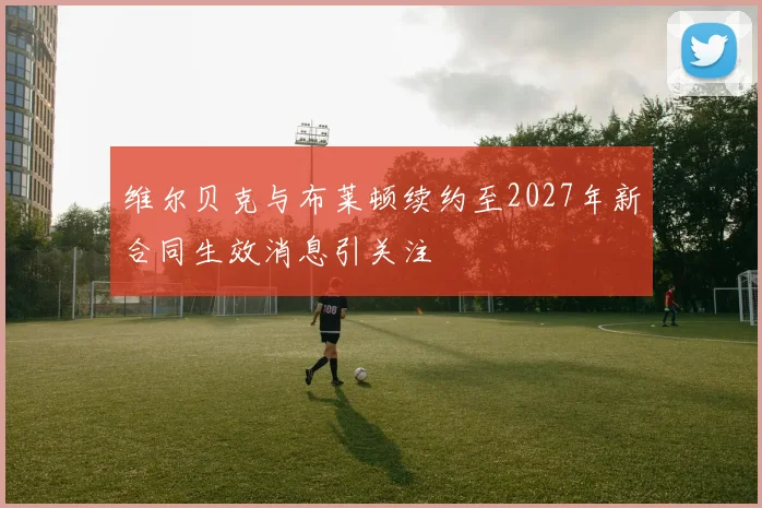 维尔贝克与布莱顿续约至2027年新合同生效消息引关注