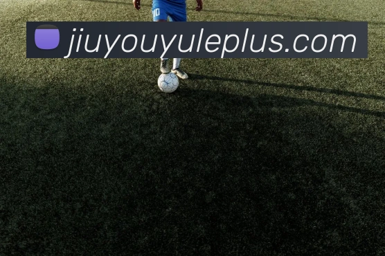 九游娱乐发展历程